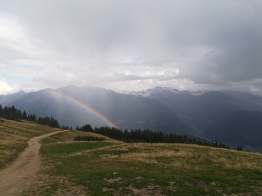 wp-1602328815259.jpg