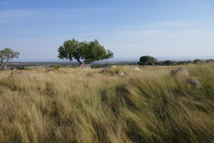 wp-1626788784140.jpg