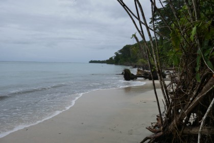 P1060771
