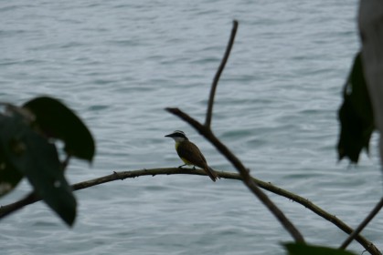 P1060776
