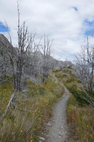 p10506916796141236643968460