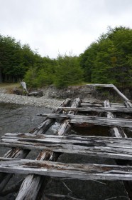 p10508018462386092628906088