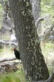 p10600743095632545030674920