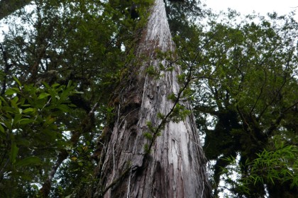 image_editor_output_image-1586844075-1647339538366