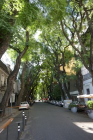 p10602518409714209268024621