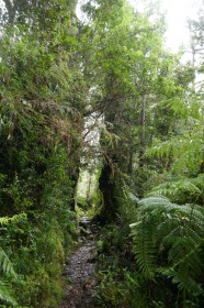 p1060345-27764153609469356821