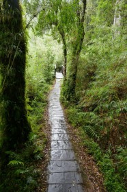 p1060354-27123584207118951152