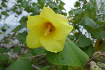 P1060796