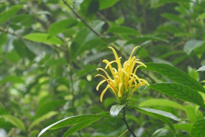 P1070173