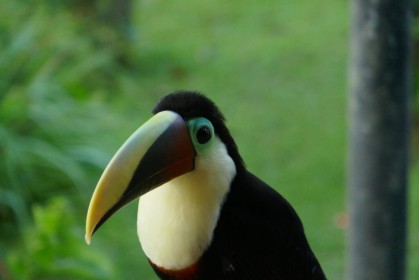 P1070289